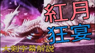 【MHF-Z】上級至天ディスフィロア　大剣ソロ　字幕解説