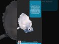 Visual Anatomy 3D -  Facts about the Temporal bone skull