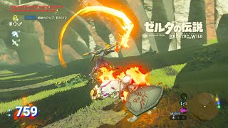 【ゼルダの伝説 冒険記 :759】オルディンの大化石【ブレスオブザワイルド】