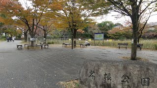 昼間心霊スポットに行ってみた(岸根公園)