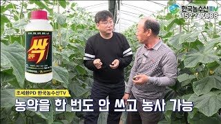 [한국농수산TV] 농약 한 방울 사용 않고 키운 오이! 2화 정읍 이강인 농부 이야기