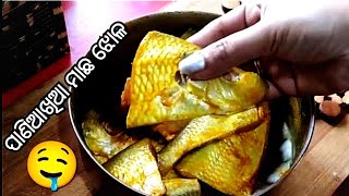 ପାଣିଆଖିଆ ମାଛ ଆମ୍ବୁଲ ବେସର ଝୋଳ | Fish Curry | Macha Besara | Paniakhia Macha tarkari | Macha Tarkari