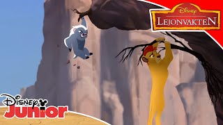 Lejonvakten | Kion i knipa | Disney Junior Sverige