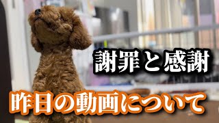 【謝罪と感謝】昨日の動画について