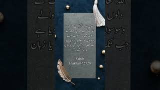 Sahih Bukhari #2528 | 17th Short | Islamic Notes 1.1 #islamicvideo #trending #viral #urdu #youtube