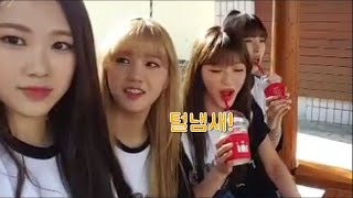 [오마이걸] 털냄새로 고통받는 미미 ㅋㅋㅋㅋ (미미 털냄새 사건 \u0026 언급)