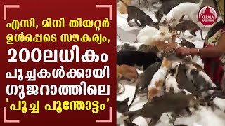 Gujarat Man made 'Cat Garden' with AC Rooms, Mini Theatre for his Cats | KeralaKaumudi