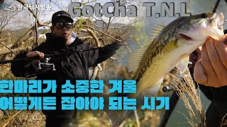 GotCha T.N.L- 겨울 낚시의 키포인트 스쿨링