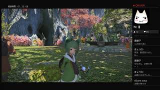 [FF14初心者] ももるぜあ#8[みどふぇる散歩参加します!!]