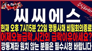 [씨씨에스 주가분석] \