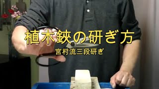 Ueki scissors 植木バサミの研ぎ方ー研ぎ師宮村和秀刃物研ぎシリーズ第286話