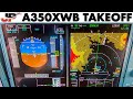 Unique View! AIRBUS A350XWB Instruments + Pilotsview on takeoff from Addis Ababa