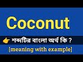 Coconut Meaning in Bengali With Example || Coconut শব্দটির বাংলা অর্থ কি হবে ?