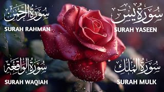 Surah Yaseen ❤️ Surah Rahman ❤️ Surah Mulk ❤️ Surah Waqiah Beautiful Voice ❤️ Heart Soothing