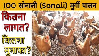 100 सोनाली मुर्गी पालन की पूरी जानकारी || Details About 100 Sonali Poultry Farming || Kisaan Tuber