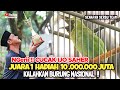 NGerii !! CUCAK IJO SAHER JUARA 1 HADIAH 10 JUTA 😱 KALAHKAN BURUNG NASIONAL 🔥BONGKAR RAHASIA JUARA ❗