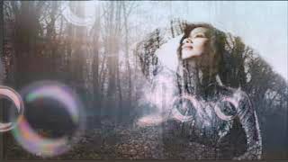 HAI LỐI MỘNG KARAOKE - CẨM LY - TONE NAM