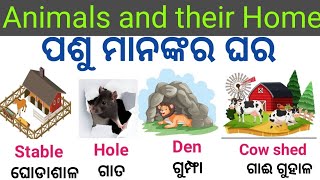 ପଶୁ ମାନକଂର ଘର / Animals and their homes / Home of animals #basicenglish   #animalshome