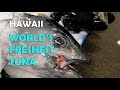 The Honolulu Fish Auction in Full Action!