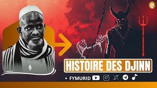 Histoire Des Djinns / Par Serigne Bassirou Mbacke Khelcom