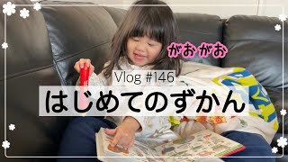 【図鑑】はじめてのずかん、集中がすごい【Vlog】