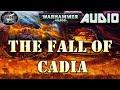 The Gathering Storm 1: The Fall of Cadia