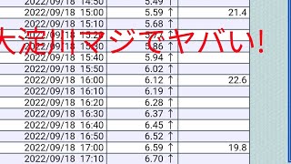 宮崎市大淀川今回はヤバイかも!