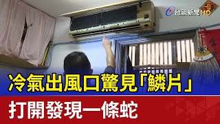 冷氣出風口驚見「鱗片」 打開發現一條蛇