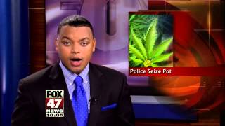 Police Bust Marijuana Grow Operations