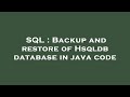 SQL : Backup and restore of Hsqldb database in java code