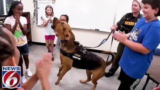 Therapy bloodhounds join Brevard school district