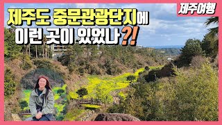 [제주가이드] 중문단지 유채꽃 계곡에 가는 3가지 방법?! 제주의 봄을 몰고 오는 유채꽃 명소를 자세히 소개합니다.