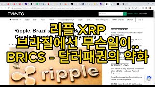 리플 XRP 브라질에선 무슨 일이 BRICS 달러패권의 약화