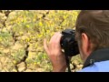 Birds flourish in Murray-Darling