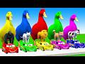 5 Giant Duck Cartoon,Cow,Lion,T-Rex,Husky,Bear,Monkey Paint Wild Animals Crossing Fountain Animation