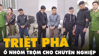 Triệt phá ổ nhóm trộm chó chuyên nghiệp số lượng lớn ở Nghệ An