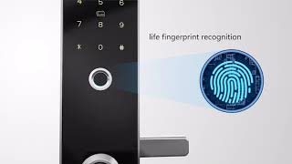 Orbita smart fingerprint lock P8010 vedio