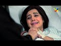 ishq ibadat episode 46 wahaj ali anum fayyaz pakistani dramas hum tv