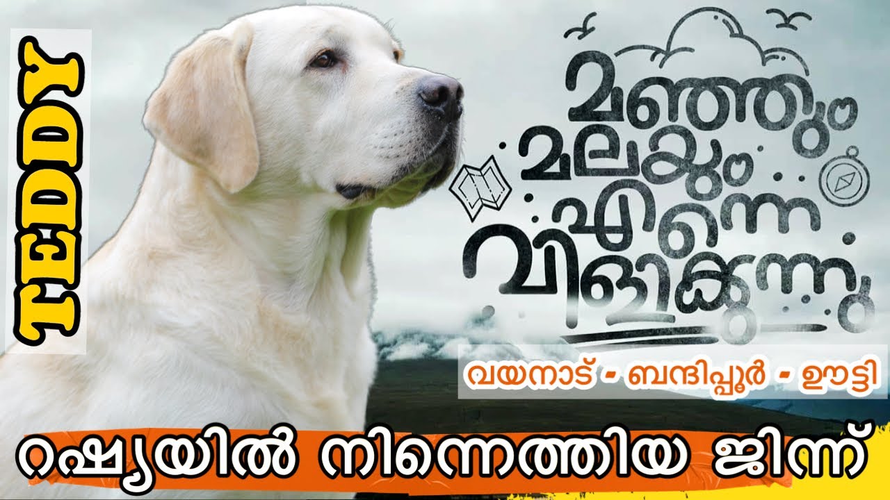 3 മണിക്കൂറിൽ 3 സംസ്ഥാനങ്ങളിലൂടെ 3 കാടും കടന്ന് ഡോഗുമായി ഒരു ഊട്ടി യാത്ര ...