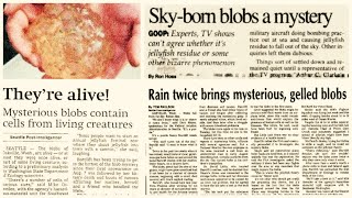 When Goo Fell From the Sky | The Oakville Blobs | The Unsolved Mystery When It Rained Goo