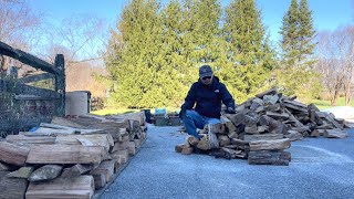 Preparing firewood for the winter | 老田一家开始准备过冬的木柴了，暖暖的壁炉烧起来，你们喜欢烧木柴取暖吗？