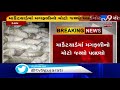 junagadh groundnut kept at keshod marketing yard damaged due to unseasonal rain tv9news