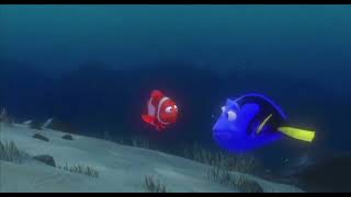 Finding Nemo - I forget things almost instantly