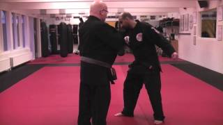 Kenpo 20 -  Checking the storm