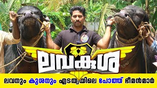 EP-30 ലവനും കുശനും ഭീമൻ പോത്തൻമാർ | biggest Buffalo's in Alappuzha #Kerala_round_up