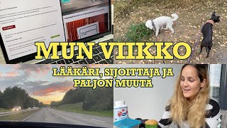 Yli 80h töitä? Viikko arkea lääkärinä, asiantuntijana, yrittäjänä ja sijoittajana + mun arkivinkit!