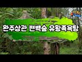 완주 상관 편백나무숲 힐링여행_양시우 크리에이터 완주군 you tv