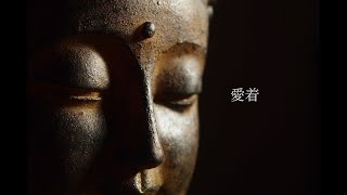 第16章「愛着」2:ダンマパダーブッダの言葉: Chapter 16:What Buddha told - Dhammapada - Affection part 2