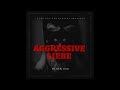 black 069 aggressive liebe official video