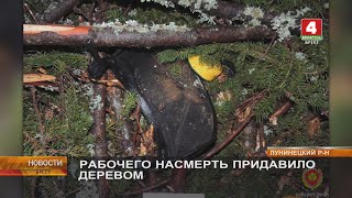 РАБОЧЕГО НАСМЕРТЬ ПРИДАВИЛО ДЕРЕВОМ